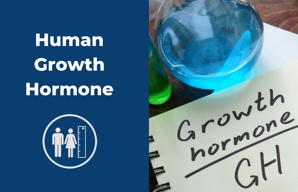 Human Growth Hormone: What Is It and What Are the Symptoms of Its Deficiency?